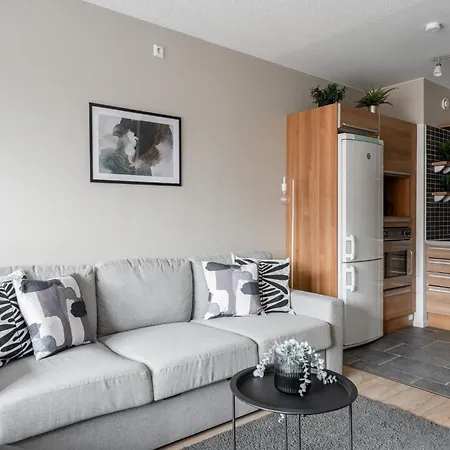 Lejlighed 1br With Balcony Next To Railway Station Tampere